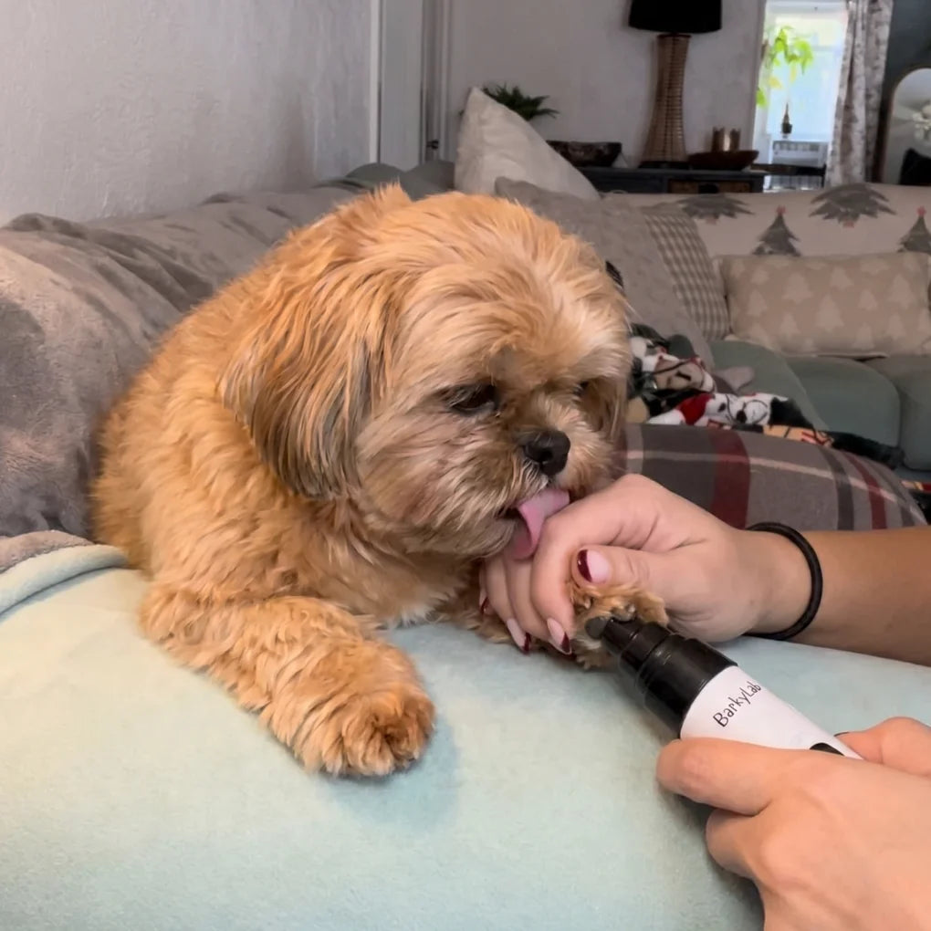 HushGroom [Free Today]
