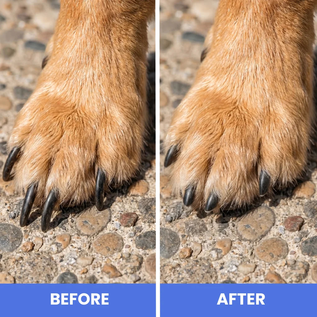 HushGroom [Free Today]